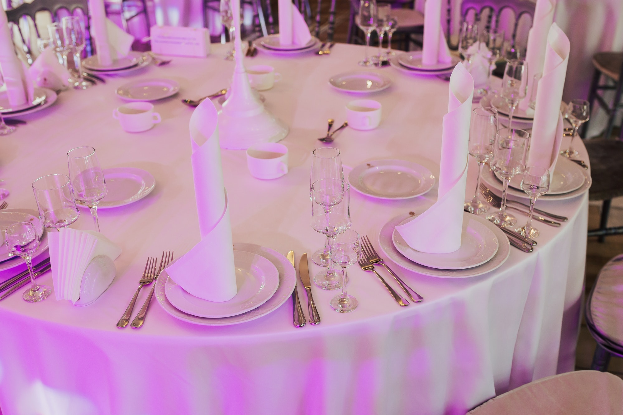 Elegant white bridal dinner